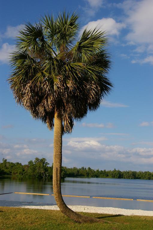Cypress Cove Nudist Resort Poinciana Exterior foto